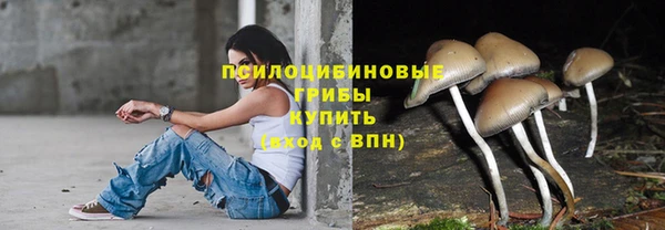 ешки Алексин