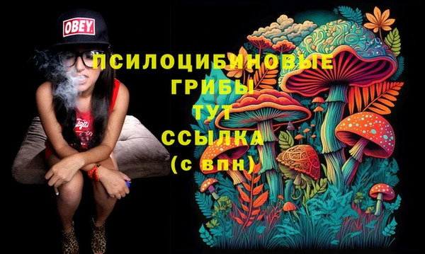 ешки Алексин