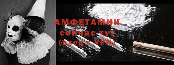 ешки Алексин