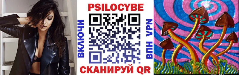 Галлюциногенные грибы мицелий  блэк спрут вход  Сокол 